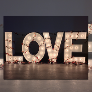 LOVE Marquee Letters Rental